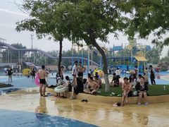 -秦皇岛乐岛海洋王国