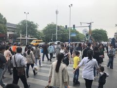 -嘉定紫藤园