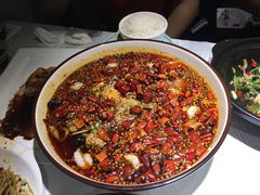 -雲蜀龙阁·金牌水煮鱼(方庄店)