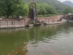 -山叶口景区