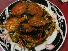 -小叶大馅饺子城