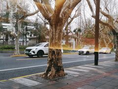 -五观堂素食(新华路店)