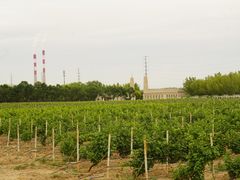 -龙谕酒庄