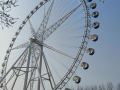 -石家庄市植物园