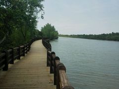 -东寨港红树林旅游区