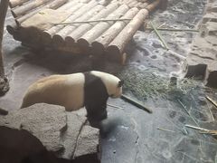 -济南野生动物世界