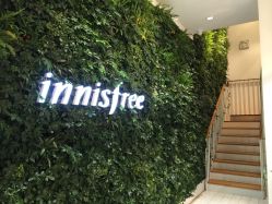 -悦诗风吟innisfree