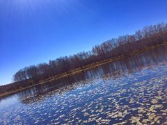 -塞罕坝国家级自然保护区