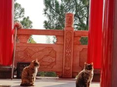 -开福禅寺