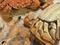 -鼓楼东街老火锅(鼓楼店)