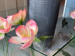 -鸽子侯·家宴·平价海鲜(市图书馆店)