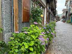 -陀岗美食·云南藏式特色餐厅