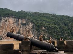 -白帝城·瞿塘峡景区