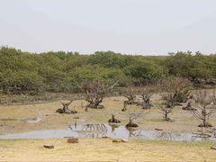 -北海金海湾红树林生态旅游区