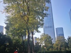 -重庆市江北嘴中央商务区中央公园