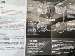 -怀托摩萤火虫洞