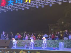 -渔家火锅·海鲜自助餐·演艺(亚龙湾天域酒店)