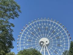 -特克斯八卦城
