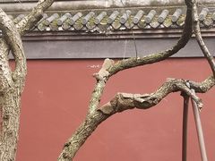 -钱王祠