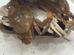 -王潮活海鲜自助·蒸汽海鲜