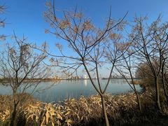 -金银湖国家城市湿地公园