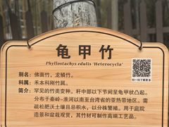 -黄公望隐居地