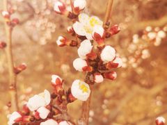 -定都阁
