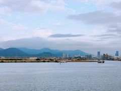 -芒洲湿地公园