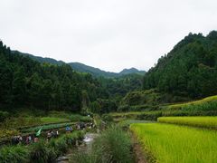 -公盂村
