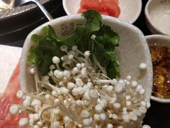 -潘小辣鲜肉老火锅