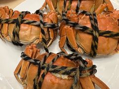 清蒸大闸蟹-张江海科雅乐轩聚聚乐