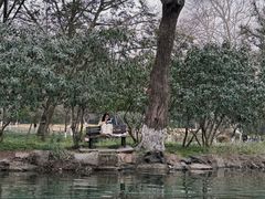 -摇橹船上船码头