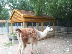 -长白岛森林公园