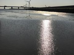 -南汇新城海滩