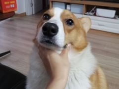 -如轩·海鲜砂锅粥·潮汕菜(海珠店)