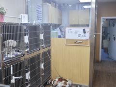 -中农大我爱我爱24h动物医院·中医针灸·猫专科·骨科医疗中心(双井店)