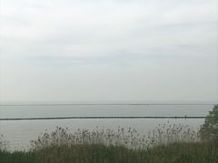 -合肥滨湖国家森林公园