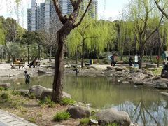 android_upload_pic-苏州河梦清园环保主题公园