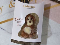 -Laderach 莱德拉(上海环贸iapm店)