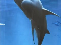 -小海豚•老字号海鲜餐厅(天涯店)