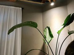 -墨居上隐·院子里火锅(峨眉店)