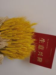 点击看大图 -苗方清颜•痘肌问题肌专研
