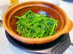 啫啫虾酱空心菜-熠盛粤味(永康路店)