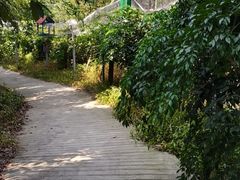 -南丹山森林王国