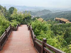 -铁山坪森林公园