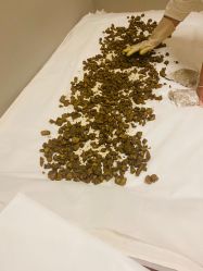 -姜美堂·蒸姜除湿の纤体美颜馆