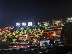 -枇杷园食为鲜火锅(南山店)