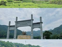 -龙坞茶村