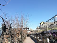 -呀路古热带植物园