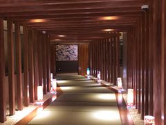 -重庆南山海昌汤都